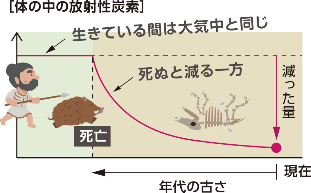 文字がないころの年代のはなぜわかる？：イラスト